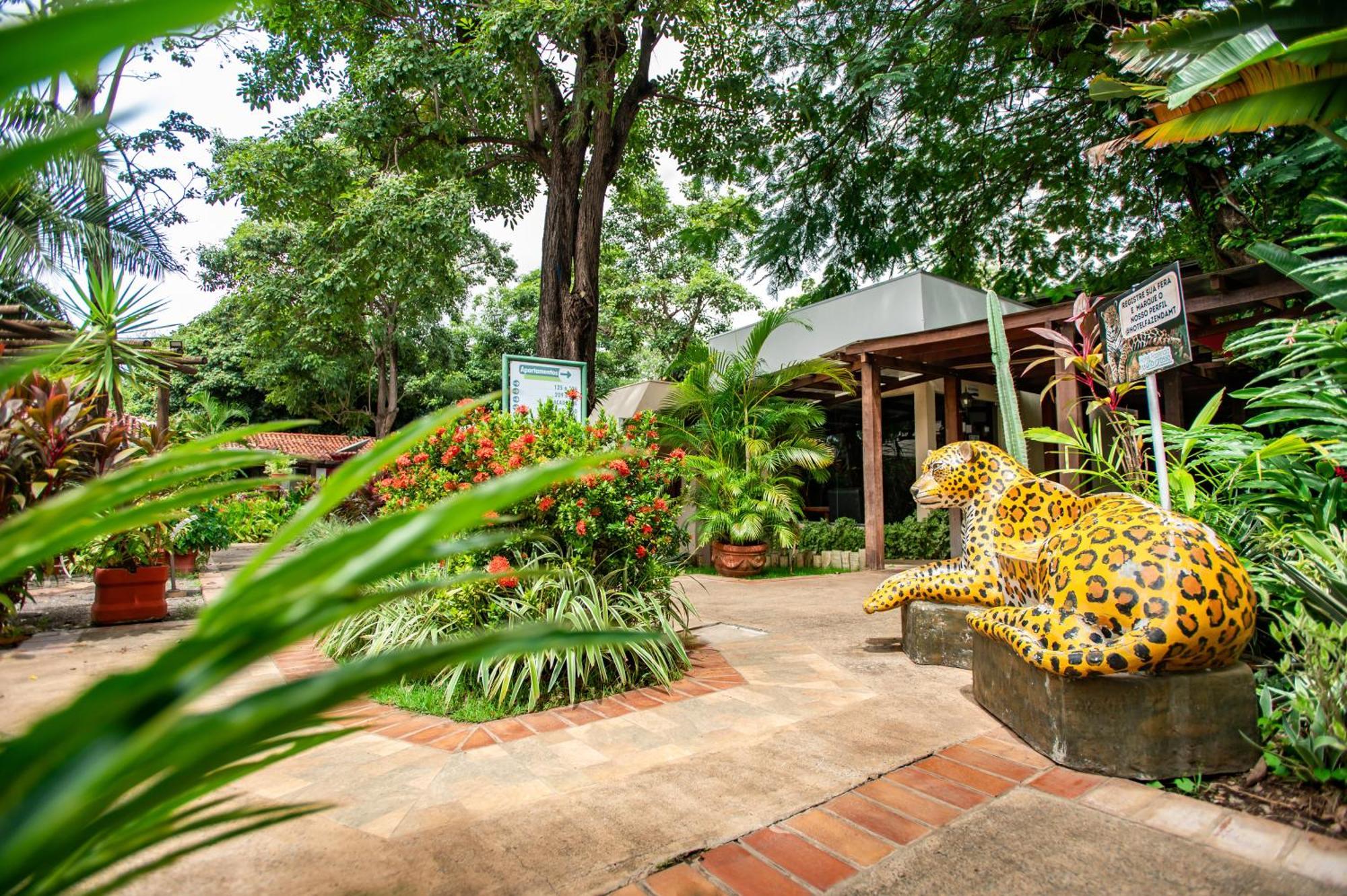 Hotel Fazenda Mato Grosso Cuiabá Zewnętrze zdjęcie